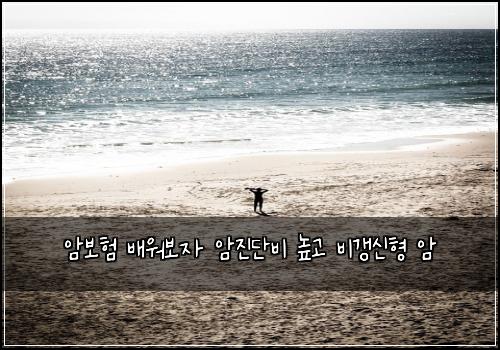 μ보ν λ°°μ보μ μμ§λ¨λΉ λκ³ λΉκ°±μ ν μ