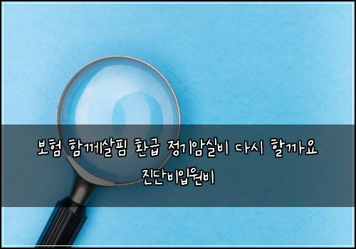 보험 함께살핌  환급 정기암실비 다시 할까요 진단비입원비