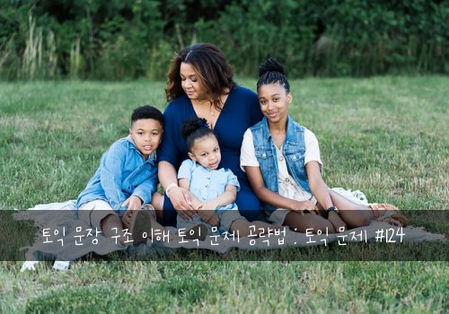 토익 문장 구조 이해 토익 문제 공략법 : 토익 문제 #124