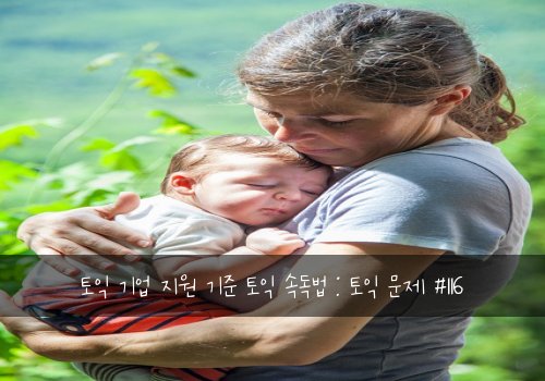 토익 기업 지원 기준 토익 속독법 : 토익 문제 #116