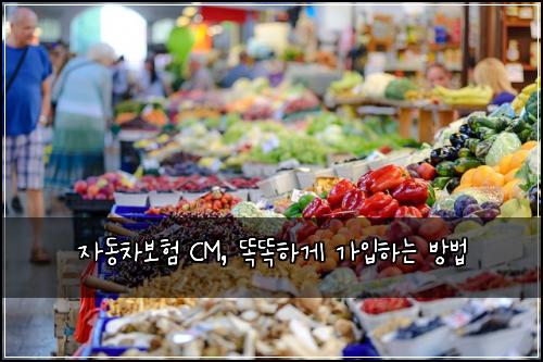  자동차보험 CM, 똑똑하게 가입하는 방법