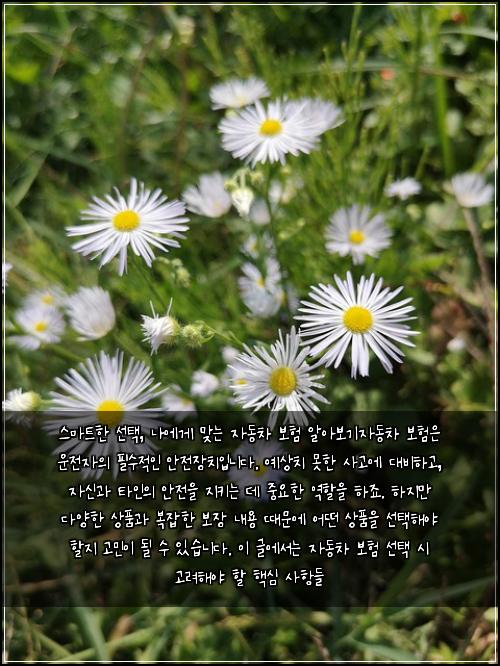  스마트한 선택, 나에게 맞는 자동차 보험 알아보기

자동차 보험은 운전자의 필수적인 안전장치입니다. 예상치 못한 사고에 대비하고, 자신과 타인의 안전을 지키는 데 중요한 역할을 하죠. 하지만 다양한 상품과 복잡한 보장 내용 때문에 어떤 상품을 선택해야 할지 고민이 될 수 있습니다. 이 글에서는 자동차 보험 선택 시 고려해야 할 핵심 사항들