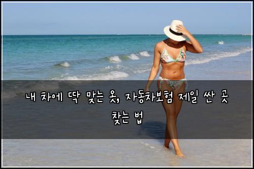  내 차에 딱 맞는 옷, 자동차보험 제일 싼 곳 찾는 법