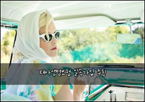 태아생명보험 실속가입  주된