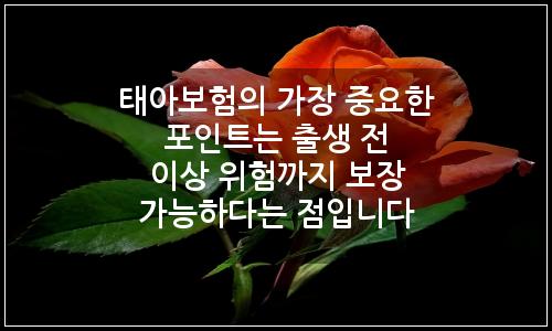 오늘의 이미지
