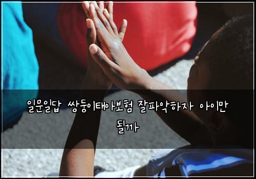 일문일답 쌍둥이태아보험 잘파악하자  아이만 될까