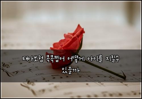 ํ์๋ณดํ ์ฝ์ฝ์ฐ์ด ์ด๋ป๊ฒ ์์ด๋ฅผ ์งํฌ์ ์์๊น