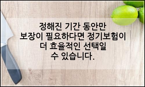 오늘의 이미지