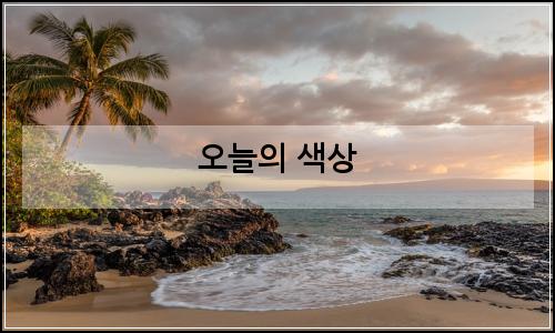 오늘의 이미지