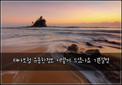 태아보험 유용한정보  어떻게 드셨나요 기본설명