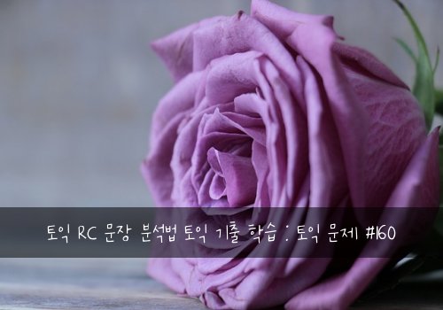 토익 RC 문장 분석법 토익 기출 학습 : 토익 문제 #160