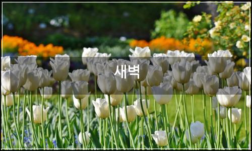 오늘의 이미지