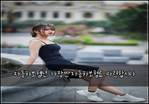 ์๋์ฐจ๋ณดํ1๋
๊ฐ์ฅ์ผ์๋์ฐจ๋ณดํ๋ฃ ๋ง๋ จํฉ์๋ค
