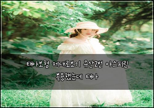 ํ์๋ณดํ ์ ๋๋ก๋ณด๊ธฐ ์ ์ฐ2๋ฒ ์์คํผ๋ฆฐ ๋ณต์ฉํ๋๋ฐ ํ์