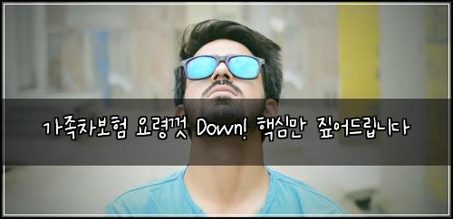 가족차보험 요령껏 Down! 핵심만 짚어드립니다