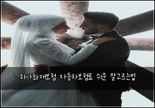 ํ๋ํ์ฌ๋ณดํ ์๋์ฐจ๋ณดํ๋ฃ ์ฌ์ด ์๊ณ ๋ฅด๋๋ฒ