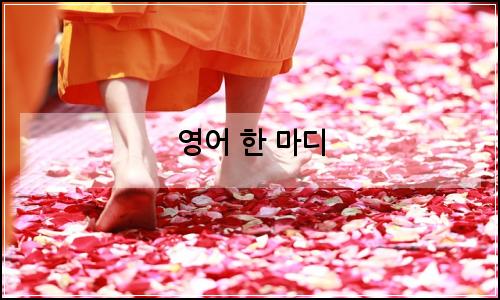 오늘의 이미지