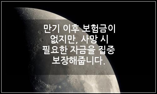 오늘의 이미지