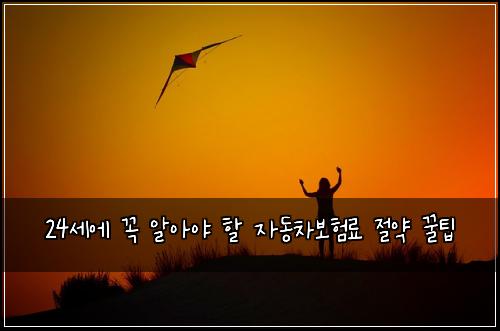 24세에 꼭 알아야 할 자동차보험료 절약 꿀팁