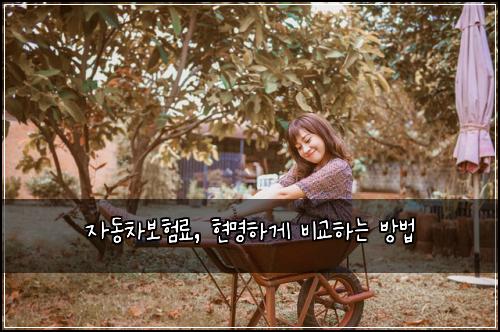 자동차보험료, 현명하게 비교하는 방법
