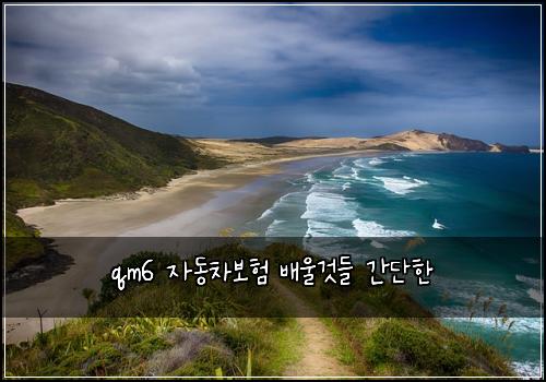 qm6 자동차보험 배울것들  간단한