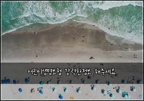 어린이생명보험 강력한정보  해주세요