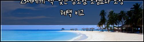 23세에게 딱 맞는 암보험: 보험료와 보장 혜택 비교
