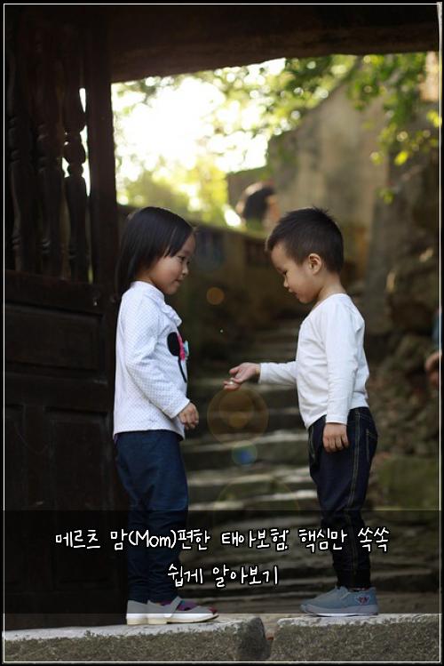 메르츠 맘(Mom)편한 태아보험: 핵심만 쏙쏙 쉽게 알아보기
