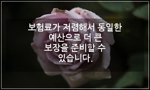 오늘의 이미지
