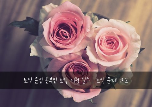 토익 문법 공부법 토익 시험 실수 : 토익 문제 #112