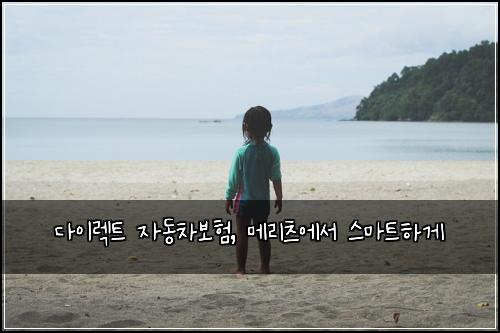  다이렉트 자동차보험, 메리츠에서 스마트하게