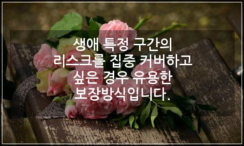오늘의 이미지