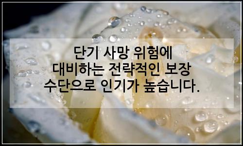 오늘의 이미지