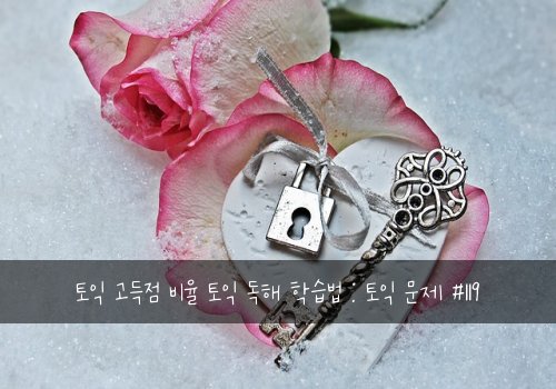 토익 고득점 비율 토익 독해 학습법 : 토익 문제 #119