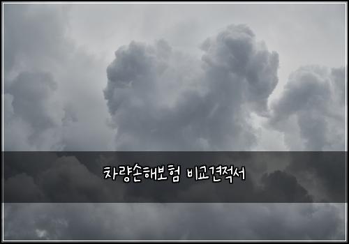 차량손해보험 비교견적서 