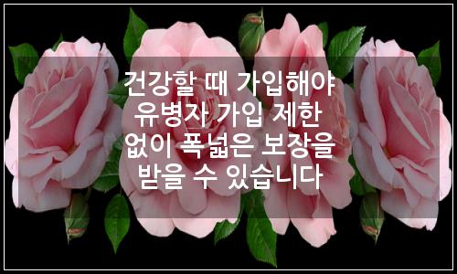 오늘의 이미지