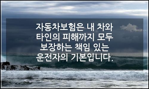 오늘의 이미지