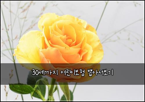 30세까지 어린이보험 뽑아서보기 