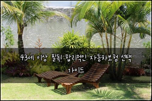 43세 이상 필독! 합리적인 자동차보험 선택 가이드