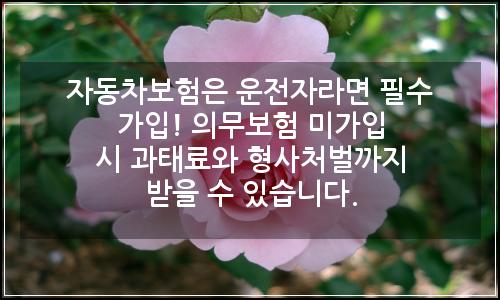 오늘의 이미지