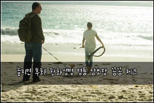  놓치면 후회! 한화생명 명품 암보장 꼼꼼 체크