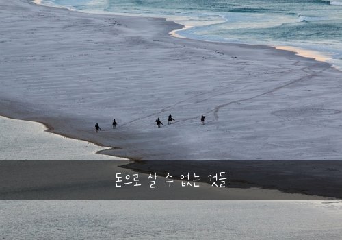 돈으로 살 수 없는 것들