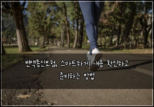 변액종신보험, 스마트하게 내용 확인하고 준비하는 방법