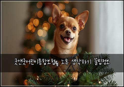 ๊ตฟ์ค๊ตฟ์ด๋ฆฐ์ด์ข
ํฉ๋ณดํq ๋
ธํ ์๊ฐํ๊ธฐ ๊ฟํ์ ๋ณด
