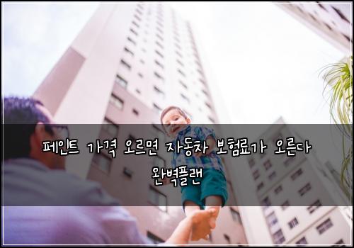 ํ์ธํธ ๊ฐ๊ฒฉ ์ค๋ฅด๋ฉด ์๋์ฐจ ๋ณดํ๋ฃ๊ฐ ์ค๋ฅธ๋ค ์๋ฒฝํ๋