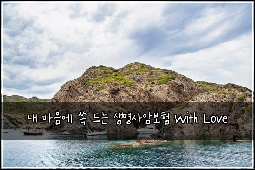  내 마음에 쏙 드는 생명사암보험 With Love