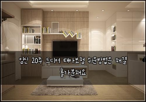 임신 20주 드디어 태아보험 쉬운방법은  해결 홀가분해요