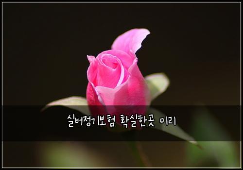 실버정기보험 확실한곳  미리