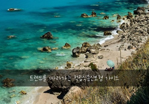 트렌드를 따라가는 적립식종신보험 가이드