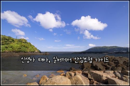 신생아 태아, 실버케어 안심보험 가이드